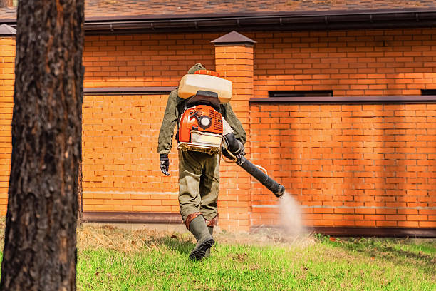 Trusted Bed Bug Control service in Robbinsdale, MN - Nex Pest Control